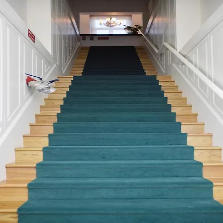 Charming City-center In Apartment